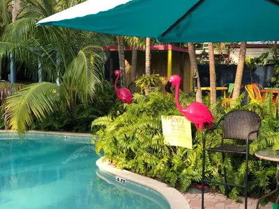 three pink flamingos are standing next to a swimming pool at Calypso Inn Wilton Gay Male Resort in Fort Lauderdale