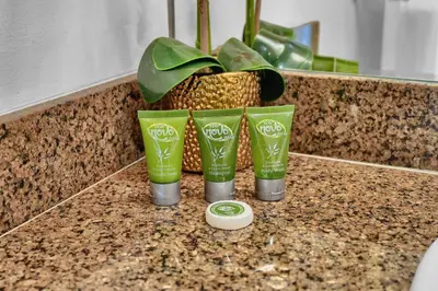 a counter with three green cups and a plant at Beautiful Blue & Gold Studio With Ocean View in Miami