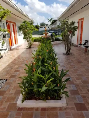 a courtyard with plants in a building at Royal Budget Inn in Miami
