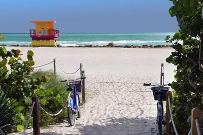 two bikes parked on a beach with the ocean at APARTMENT RIGHT ON THE BEACH! in Miami Beach