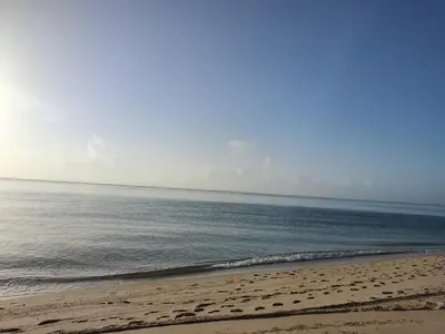 a sandy beach with the ocean in the background at Estudios para 4 personas en la playa de Sunny Isles Beach in Miami Beach