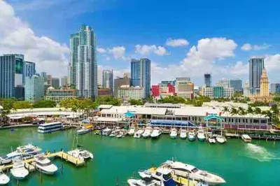 a group of boats docked in a harbor with a city at GREAT LOCATION Downtown/Airport/South Beach in Miami