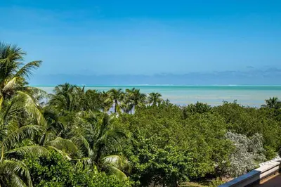 a view of the ocean from a resort with palm trees at Gorgeous Partial Ocean View I The Ritz Carlton in Miami