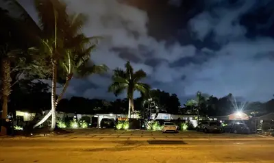 a parking lot with palm trees at night at The Agustin Guesthouse - Men Only Clothing Optional in Fort Lauderdale
