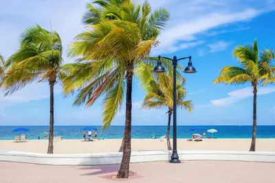 a group of palm trees on the beach at Ocean Reserve 1607 in Miami Beach