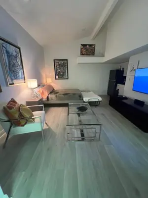 a living room with a couch and a tv at VILLA GUILLA in Miami