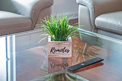 a plant sitting on a glass table next to a remote control at Modern Bayview Apartment in Brickell Bay in Miami