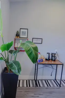 a plant in a black pot next to a table at Zoka House 5 mints from Brickell in Miami