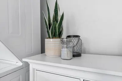 a plant in a mason jar on a white cabinet at Sun Getaway Rentals in Fort Lauderdale