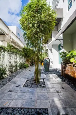 a small tree in the middle of a sidewalk at Beautiful Loft in Downtown Miami For 4 people 2208 in Miami