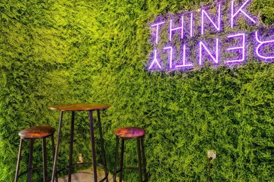three bar stools in front of a green wall at New Miami & Calle Ocho Home with Arcade! in Miami