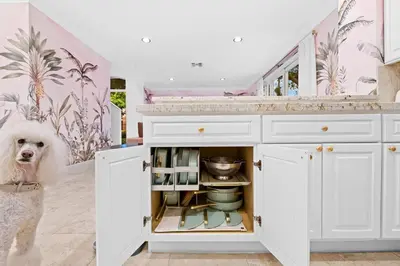 a dog is standing in a kitchen with a cabinet at The Betty A Glam Getaway in Fort Lauderdale in Fort Lauderdale