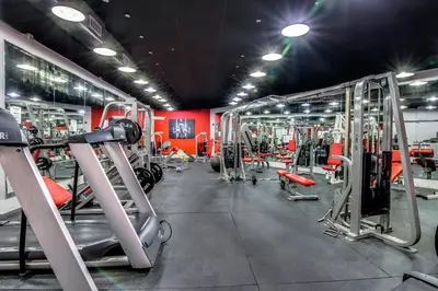 a gym with several rows of tread machines at Castle Ph11 Penthouse with Balcony, Free Parking, Pool, Tennis, Beach Access in Miami Beach