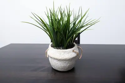 a white vase with a plant in it on a table at Just Off Wilton Drive Apt 8 in Fort Lauderdale