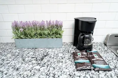a kitchen counter with a coffee maker and a pot of flowers at Comfy Condos at Middle River Apt 1 in Fort Lauderdale