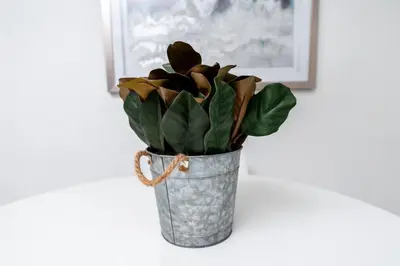 a potted plant in a metal bucket on a wall at Comfy Condos at Middle River Apt 3 in Fort Lauderdale