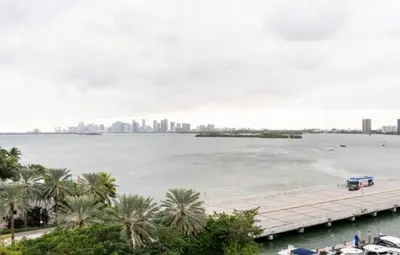 a view of a large body of water with palm trees at Tropical Oasis Getaway in Miami Beach
