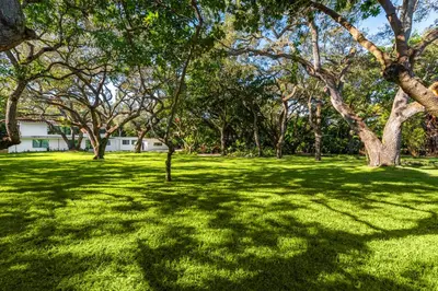 a field of green grass with trees and a house at Villa Arielle in Miami