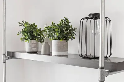 three potted plants sitting on a metal shelf at Las Olas Blvd Exclusive Apt with waterview in Fort Lauderdale