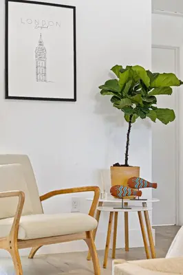 a living room with a chair and a table with a potted plant at Lovely Rental Unit with free Parking on Premises in Fort Lauderdale