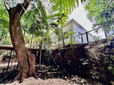 a palm tree in front of a house at Coconut Grove Mid-Century Jungle Oasis in Miami