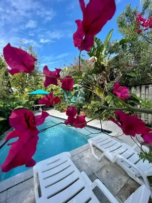 a pool with pink flowers next to a white chair at Delight and cozy Apt close to Las Olas & the beach in Fort Lauderdale