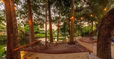 a hammock in the middle of a forest of trees at New Oasis Waterfront & Sand Terrace THG in Miami