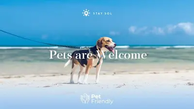 a dog on a leash on the beach at Hollywood Bliss - Near Beach Studio - Rooftop Pool in Hollywood