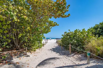 a beach path with trees and the ocean in the background at Comfy 1 B/R, Near Ocean Dr & Beach - South Beach in Miami Beach