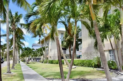 a row of palm trees in front of a building at Suites at Coral Resorts in Miami