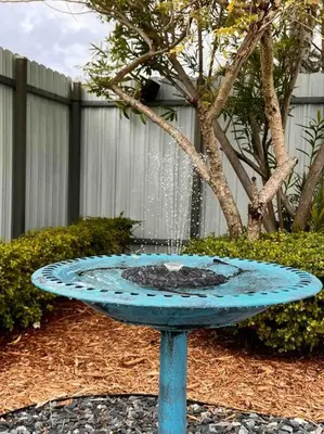 a blue bird bath with a fountain in a yard at Casita Cafe in Miami