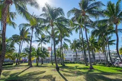 a group of palm trees in a park at Balcony Deco Apt, w/2 QueenBeds, on Ocean Dr Beach in Miami Beach