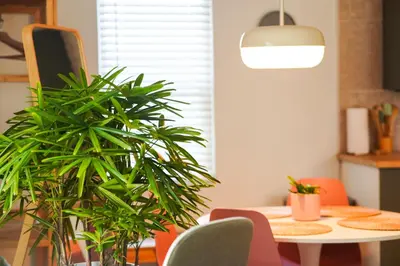 a dining room with a table and some plants at New Nordic Touch Loft, Central Location in Miami