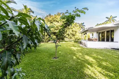 a small tree in the yard of a house at Tropical Private Oasis Mins from Beach & Downtown in Miami
