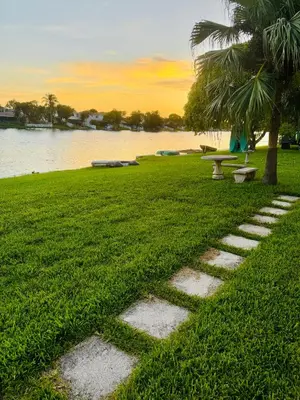 a park with a bench and a tree and water at Cozy lakeside suite with private bath & entrance in Pembroke Pines