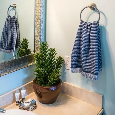 a bathroom with a potted plant on a sink at Luxury 2-story Penthouse located in Coconut Grove Hotel-includes Parking in Miami