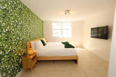 a bedroom with a bed and a green wall at 2 Luxury Bedrooms at Yacht Club de Aventura in Miami