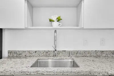 a kitchen counter with a sink and a vase of flowers at Hallandale Beach Modern apartment Chic Backyard in Hallandale Beach