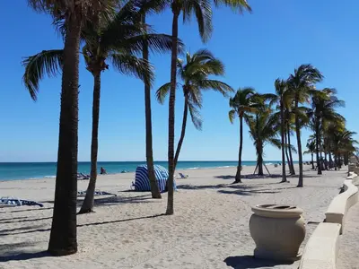 a sandy beach with palm trees and the ocean at Hollywood Broadwalk Oceanside Hotel in Hollywood