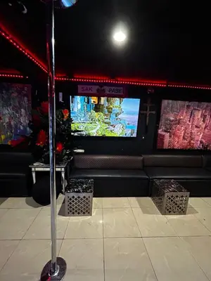 a room with a tv and a couch and a tv screen at The Black Door miami in Miami