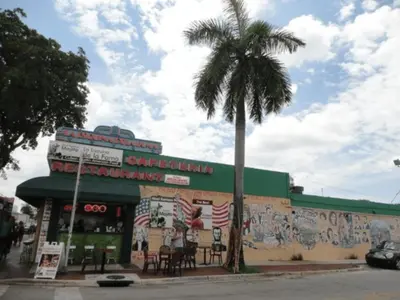 a building with a palm tree in front of it at B5 Best Value on Private Bedroom with Private Bathroom in Little Havana, Miami in Miami