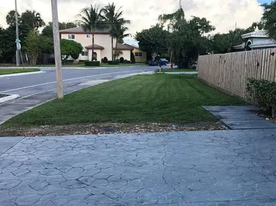 a street with a yard of grass next to a fence at Spacious House in Fort Lauderdale - Minutes from Beach in Fort Lauderdale