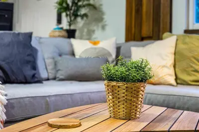 a table with a potted plant on it in a living room at The Brickell Hideout - Charming/Cozy/Central in Miami