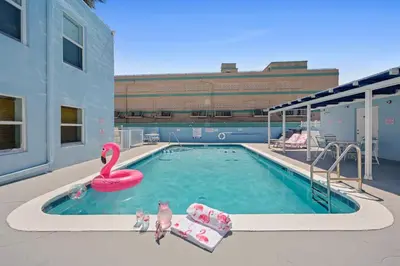 a pool with two cats sitting next to a pink swan at Apartamento justo en la playa in Hollywood