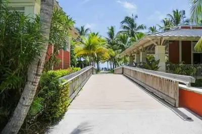 a boardwalk leading to a house with palm trees at BRAND NEW! Lovely 1 Bedroom with Pool by the Beach in Miami