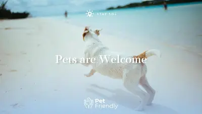 a dog is running on the beach at Hollywood Beachfront Apt Amazing View & Amenities in Hollywood