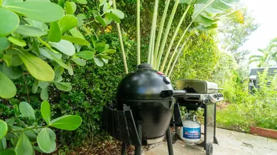 a grill sitting next to a bush at Villa Viscayne - Miami Modern Luxury with Pool & Spa in Biscayne Park