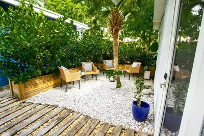 a patio with chairs and plants and a palm tree at Cozy Tiny Home - Hidden Gem! in Miami