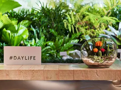 a glass bowl filled with plants on a table at 1 Hotel South Beach in Miami Beach
