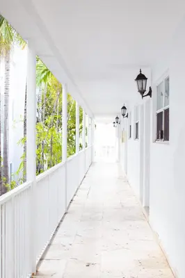 a corridor of a white building with palm trees at Spacious Apt in the heart of South Beach in Miami Beach